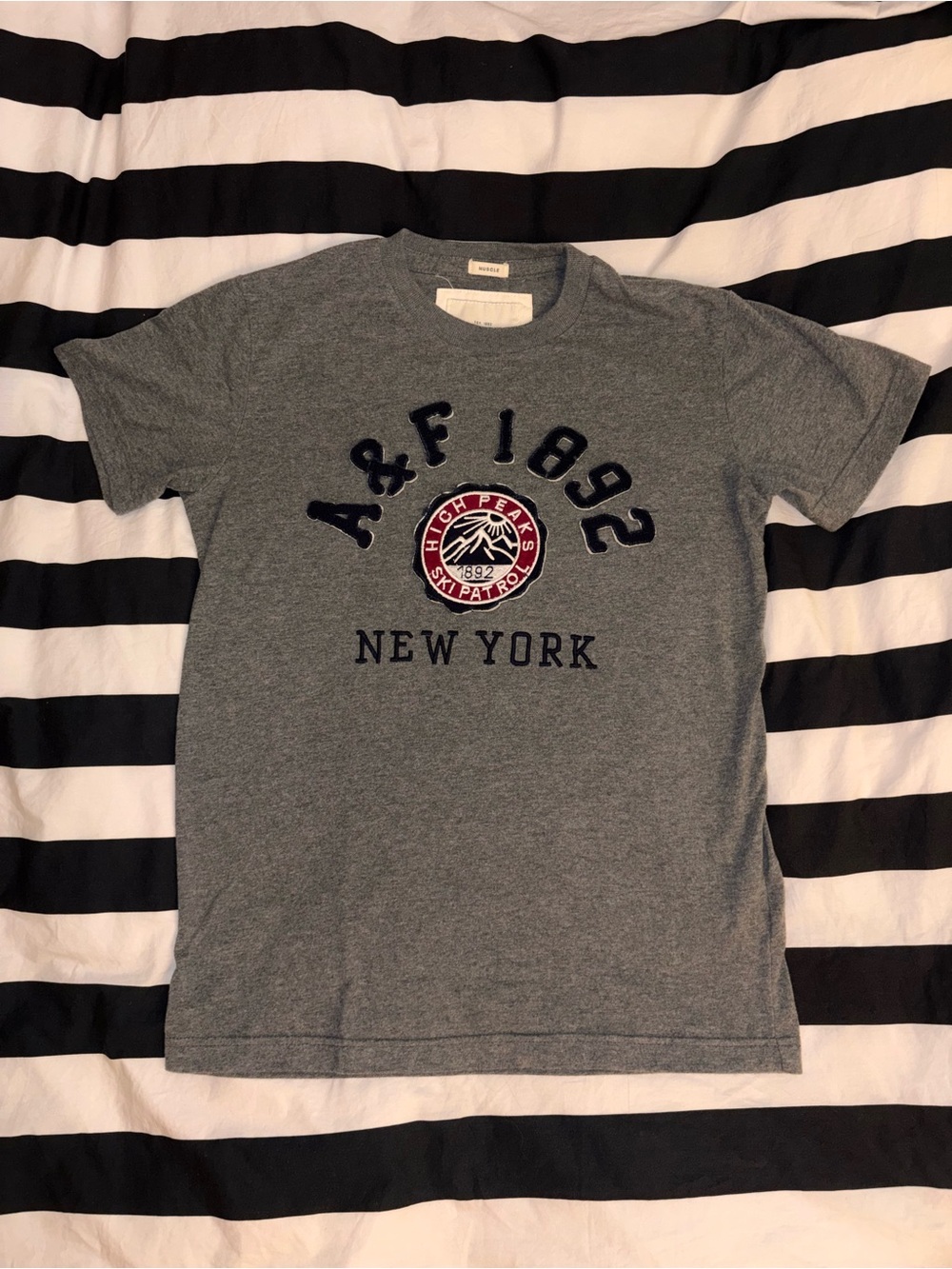 Vintage Abercrombie and Fitch Grey Muscle Fit Embroidered T-Shirt
